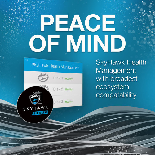 Seagate 1TB SkyHawk SATA III 3.5